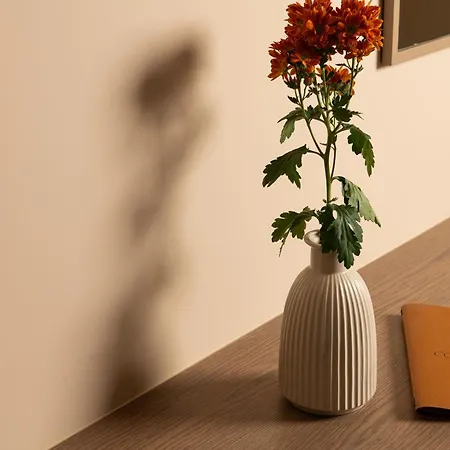 Cosmeen Lifestyle Boutique